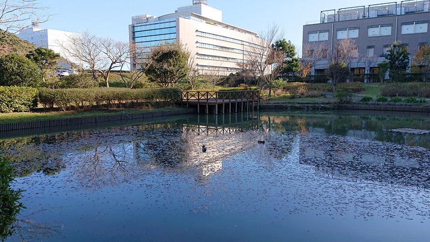 光の丘水辺公園